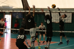 SPRING-CUP-2025-11