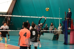 SPRING-CUP-2025-13