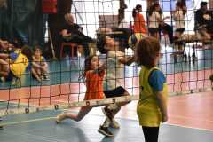 VolleyS3-05-07-at-12.35.45-1