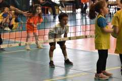 VolleyS3-05-07-at-12.35.45-2