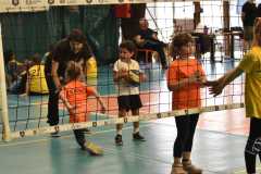 VolleyS3-05-07-at-12.35.47-1