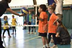 VolleyS3-05-07-at-12.35.48-2