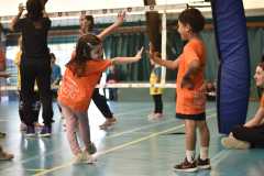 VolleyS3-05-07-at-12.35.49-1