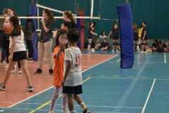 VolleyS3-05-07-at-12.35.50-1