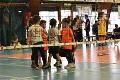 VolleyS3-05-07-at-12.35.52-1