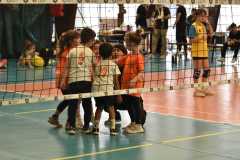 VolleyS3-05-07-at-12.35.52